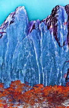 L 020B